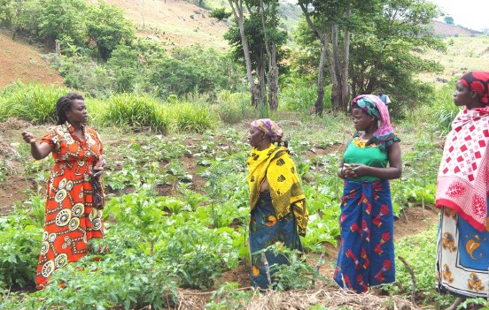 Frauen auf dem Feld in Tansania