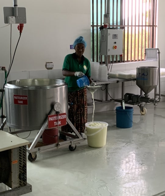 Aufbau einer Milchwirtschaft (Molkerei) durch die CWM mit Milch von Rindern der Massai.